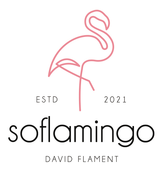 So Flamingo - David Flament