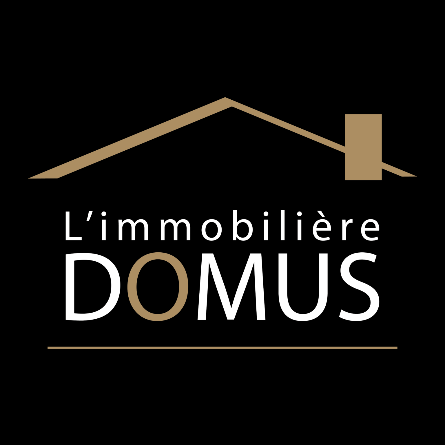 L'immobilière Domus